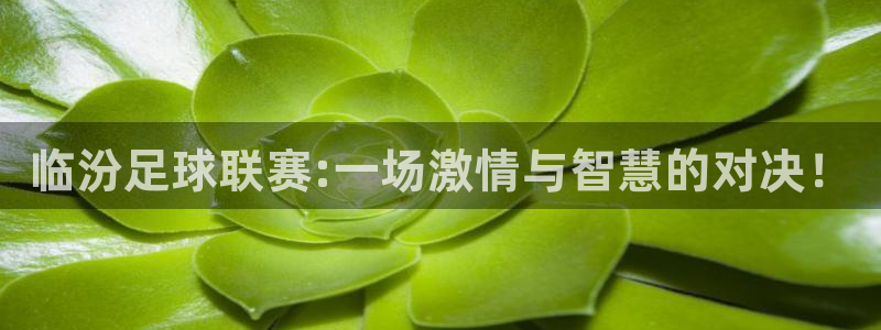 临汾足球联赛:一场激情与智慧的对决！
