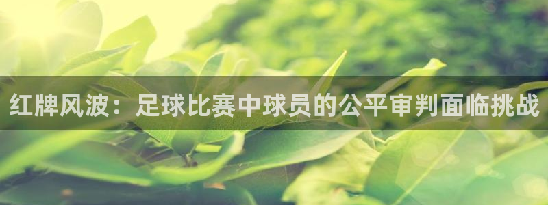  红牌风波：足球比赛中球员的公平审判面临挑战