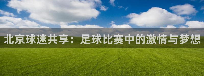 北京球迷共享：足球比赛中的激情与梦想