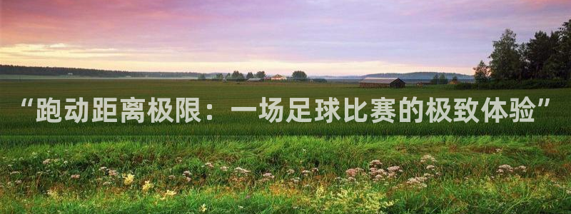  “跑动距离极限：一场足球比赛的极致体验”
