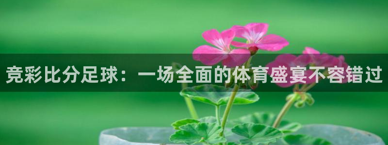  竞彩比分足球：一场全面的体育盛宴不容错过