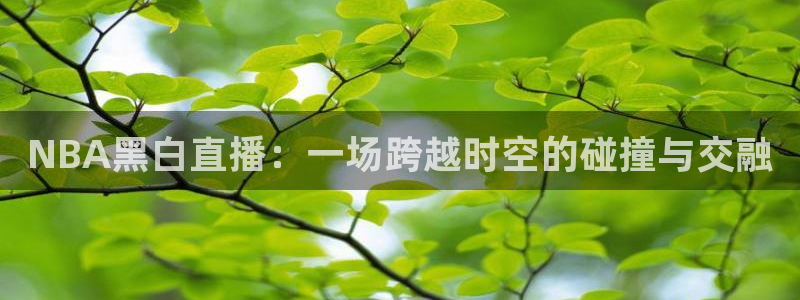 178直播体育直播：NBA黑白直播：一场跨越时空的碰撞与交融