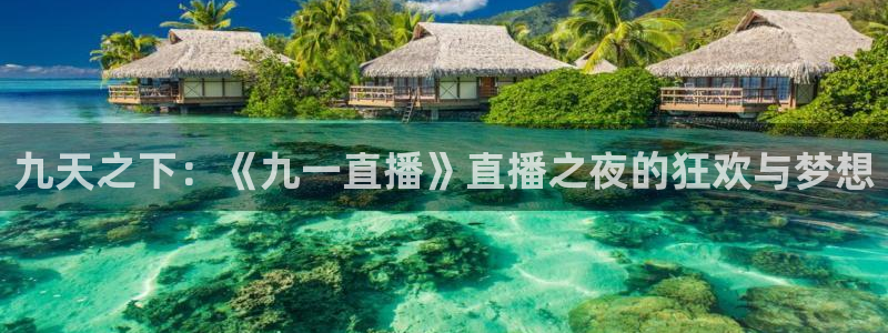 178直播体育在线直播：九天之下：《九一直播》直播之夜的狂欢与梦想