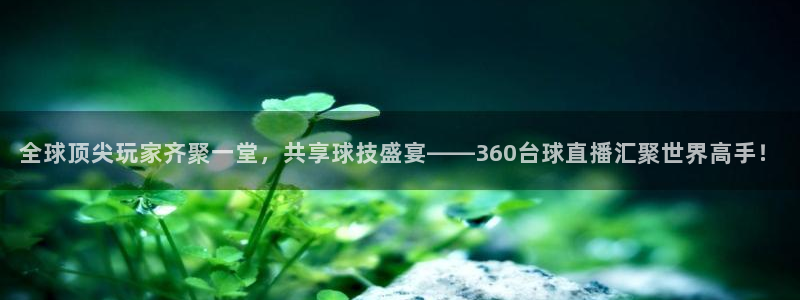 178zb6直播体育足球：全球顶尖玩家齐聚一堂，共享球技盛宴——360台球直播汇聚世界高手！