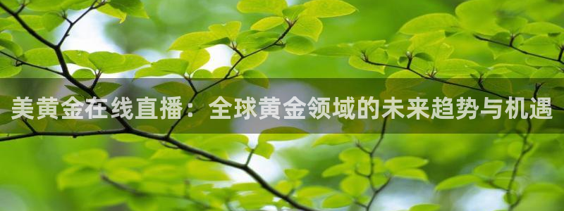 178直播篮球赛事免费直播：美黄金在线直播：全球黄金领域的未来趋势与机遇