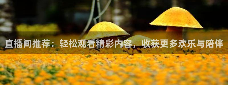 178直播体育赛事直播：直播间推荐：轻松观看精彩内容，收获更多欢乐与陪伴