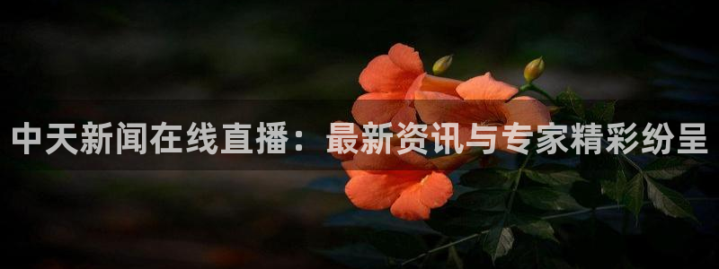 nba免费直播在线观看178：中天新闻在线直播：最新资讯与专家精彩纷呈