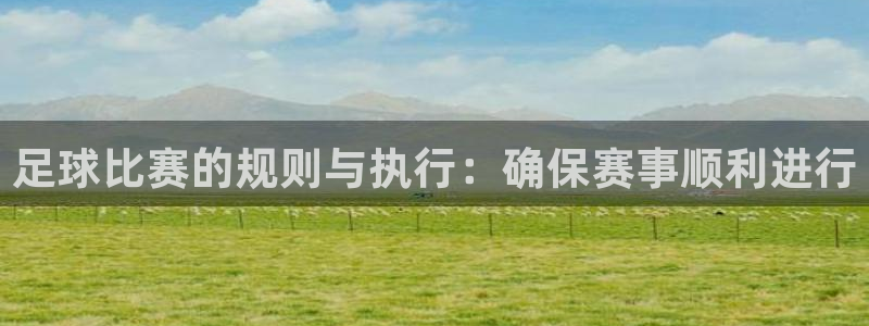 足球比赛的规则与执行：确保赛事顺利进