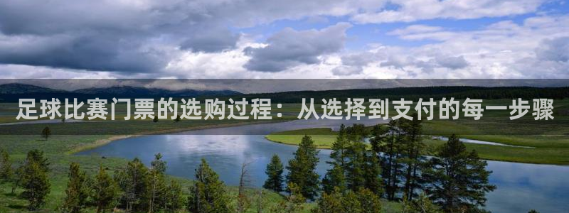 足球比赛门票的选购过程：从选择到支付