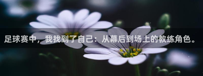 足球赛中，我找到了自己：从幕后到场上