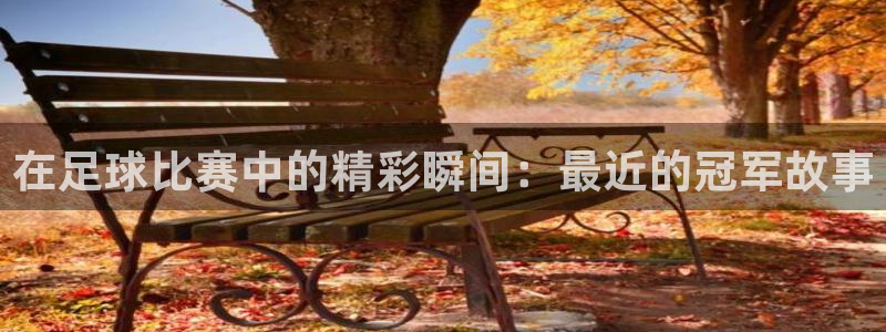 在足球比赛中的精彩瞬间：最近的冠军故