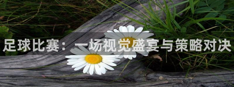 足球比赛：一场视觉盛宴与策略对决
