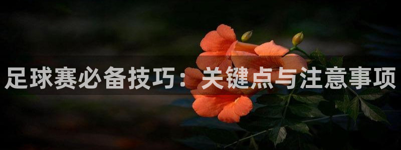  足球赛必备技巧：关键点与注意事项