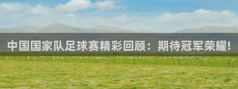  中国国家队足球赛精彩回顾：期待冠军荣耀!
