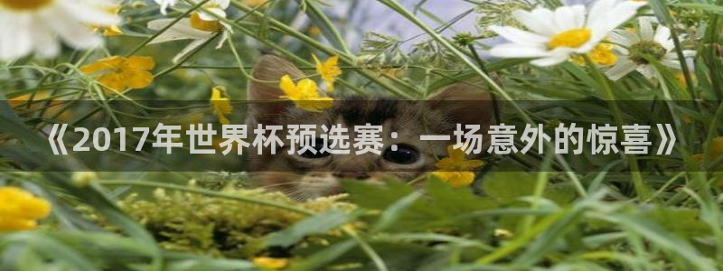《2017年世界杯预选赛：一场意外的
