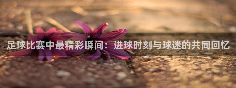 足球比赛中最精彩瞬间:进球时刻与球迷的共同回忆