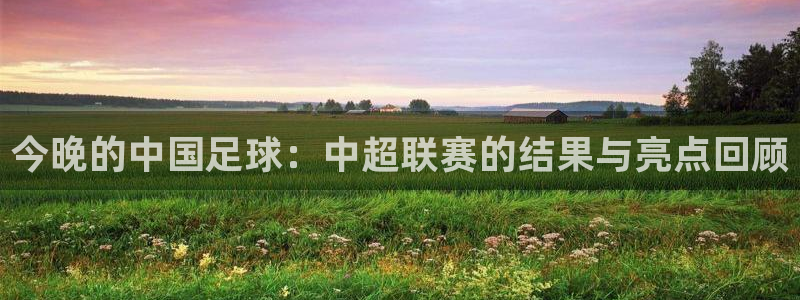 今晚的中国足球：中超联赛的结果与亮点
