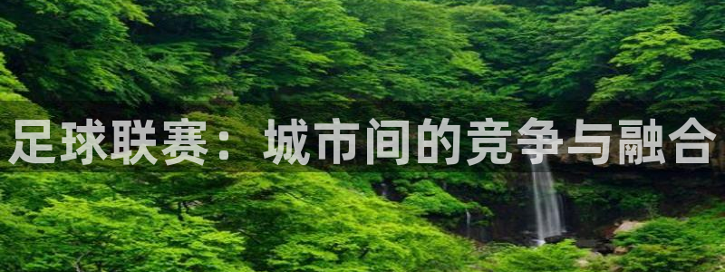  足球联赛：城市间的竞争与融合