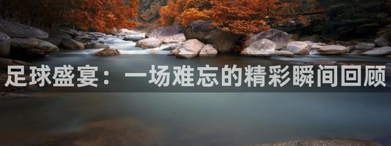 足球盛宴:一场难忘的精彩瞬间回顾