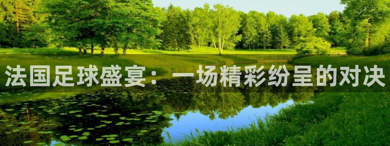 法国足球盛宴：一场精彩纷呈的对决