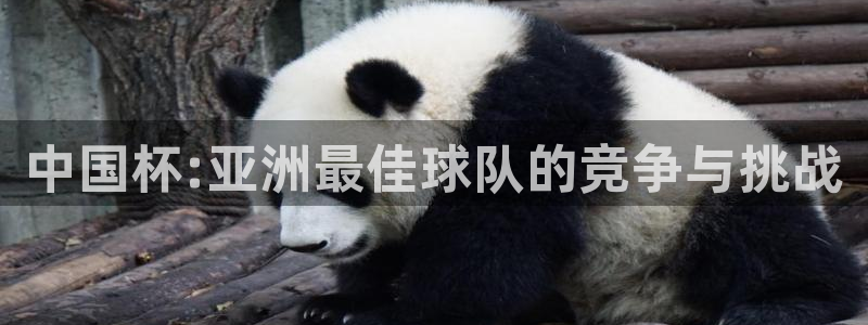  中国杯:亚洲最佳球队的竞争与挑战