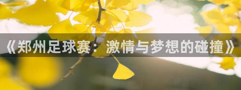 《郑州足球赛：激情与梦想的碰撞》