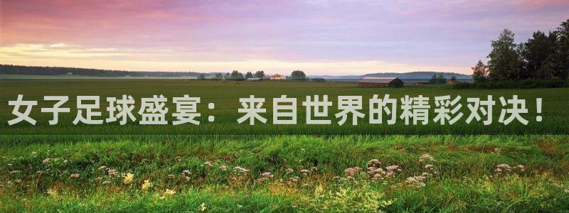  女子足球盛宴：来自世界的精彩对决！