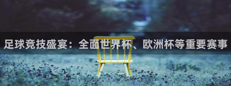  足球竞技盛宴：全面世界杯、欧洲杯等重要赛事