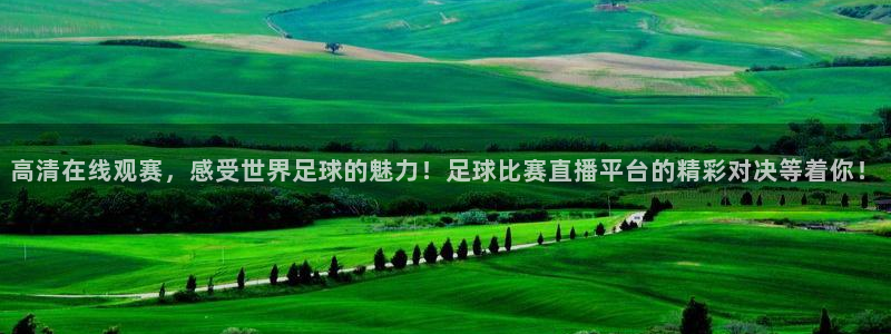  高清在线观赛，感受世界足球的魅力！足球比赛直播平台的精彩对决