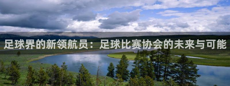 足球界的新领航员：足球比赛协会的未来与可能