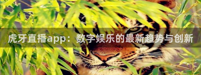 178足球比分直播：虎牙直播app：数字娱乐的最新趋势与创新