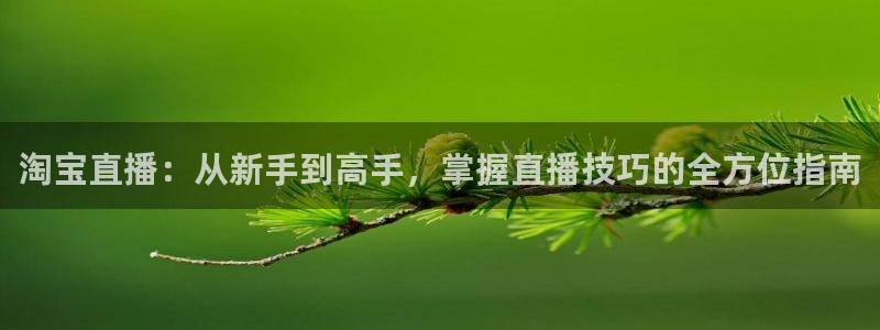 178体育在线直播：淘宝直播：从新手到高手，掌握直播技巧的全方位指南