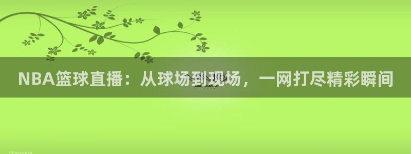 178足球直播体育：NBA篮球直播：从球场到现场，一网打尽精彩瞬间