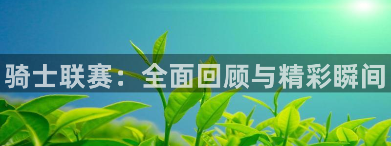 足球直播178高清直播免费：骑士联赛：全面回顾与精彩瞬间