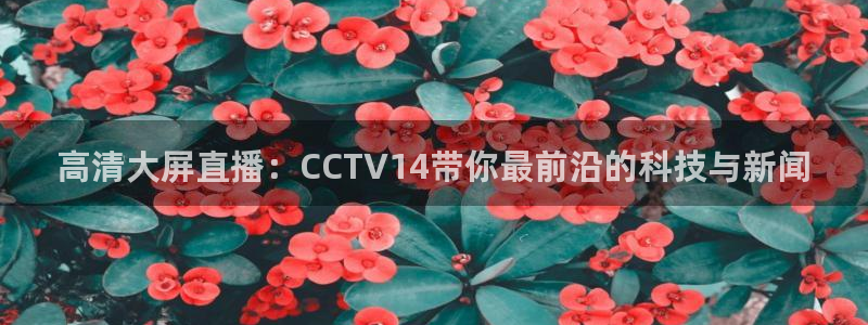 178直播看球：高清大屏直播：CCTV14带你最前沿的科技与新闻