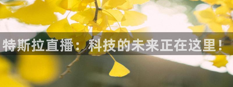 178体育足球直播：特斯拉直播：科技的未来正在这里！