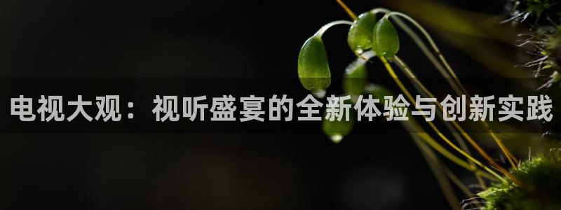178直播nba在线：电视大观：视听盛宴的全新体验与创新实践