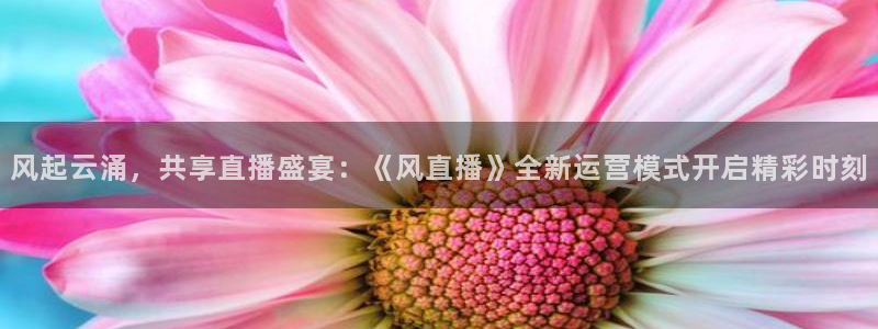 178zb2直播足球直播：风起云涌，共享直播盛宴：《风直播》全新运营模式开启精彩时刻